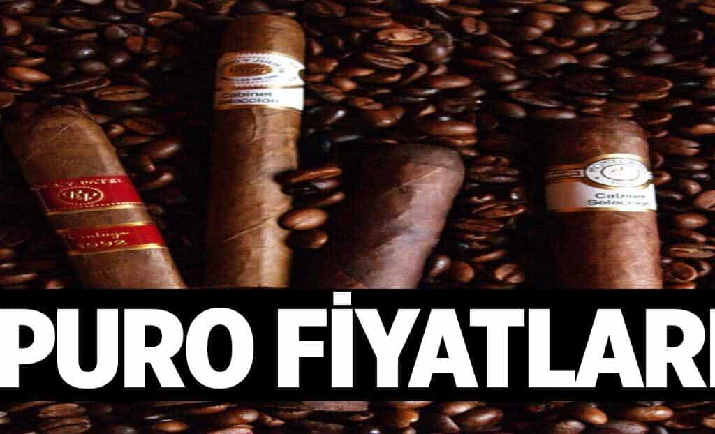 Puro Fiyatlari 1024x622QBM.jpg